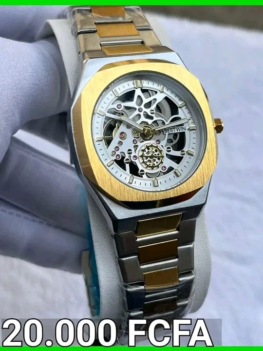 Montre de luxe Bestwin cadran squelette (Bicolore)